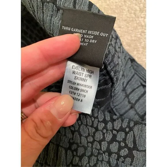 Hudson Jeans Evelyn High Waist Skinny in Snake Charmer 27